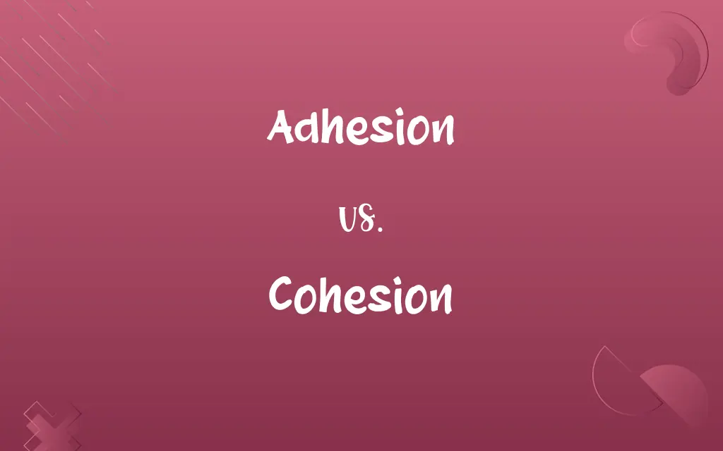Adhesion vs. Cohesion