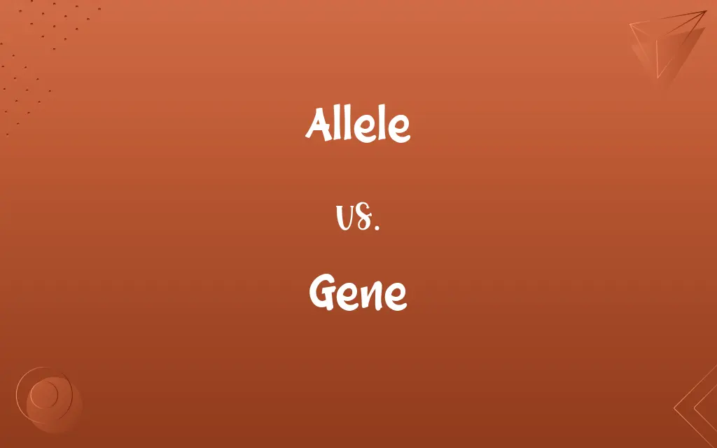 Allele vs. Gene