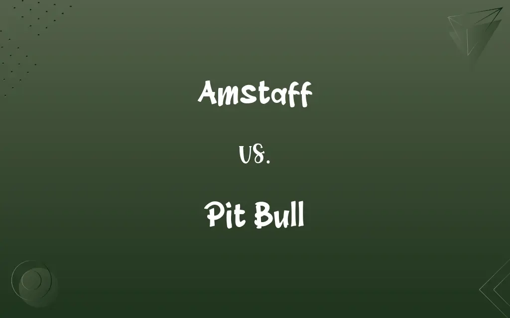Amstaff vs. Pit Bull