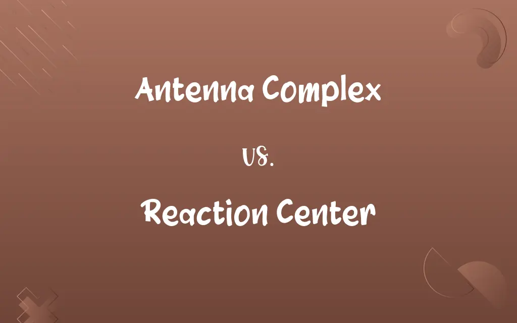 Antenna Complex vs. Reaction Center