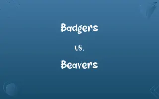 Badgers vs. Beavers