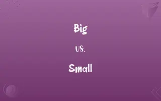 Big vs. Small