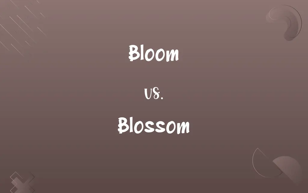 Bloom vs. Blossom