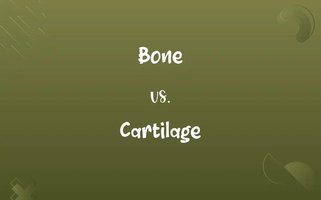 Bone vs. Cartilage