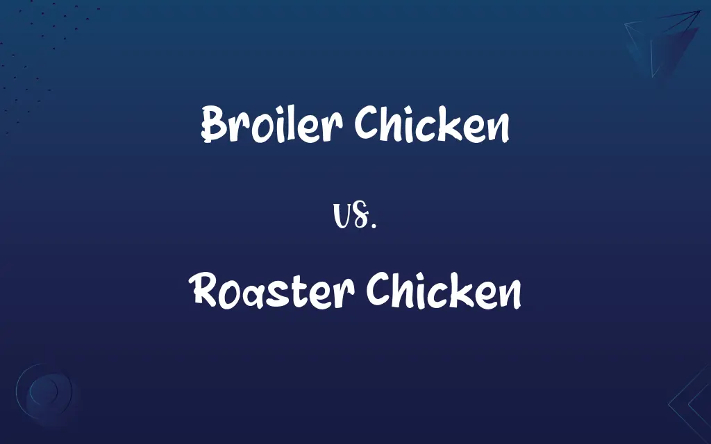 Broiler Chicken vs. Roaster Chicken
