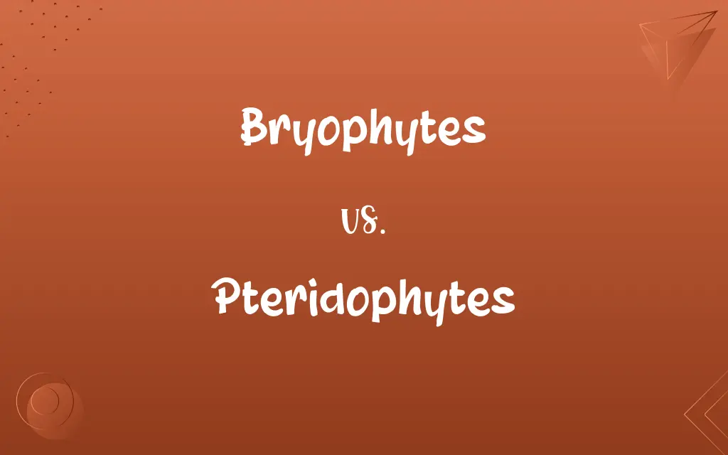 Bryophytes vs. Pteridophytes