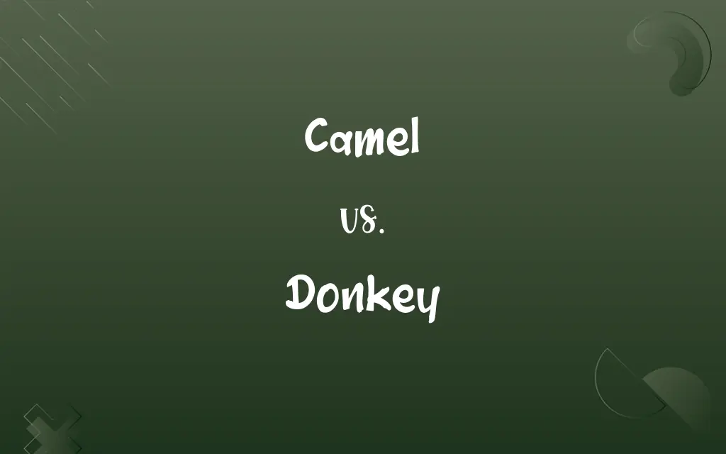 Camel vs. Donkey