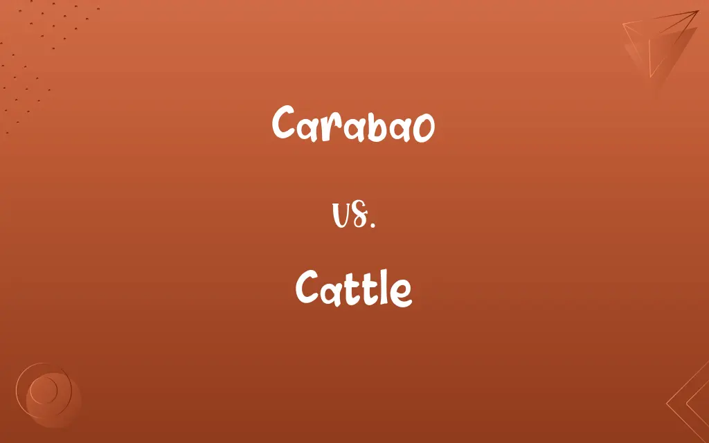 Carabao vs. Cattle