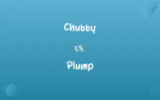 Chubby vs. Plump