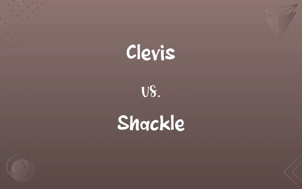Clevis vs. Shackle