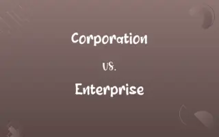 Corporation vs. Enterprise