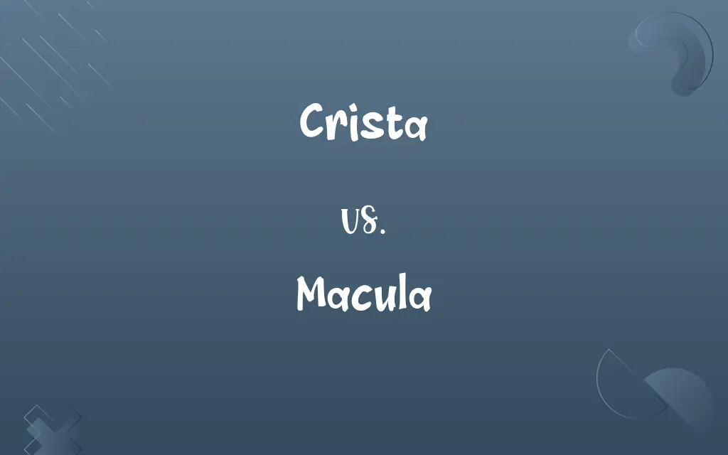 Crista vs. Macula