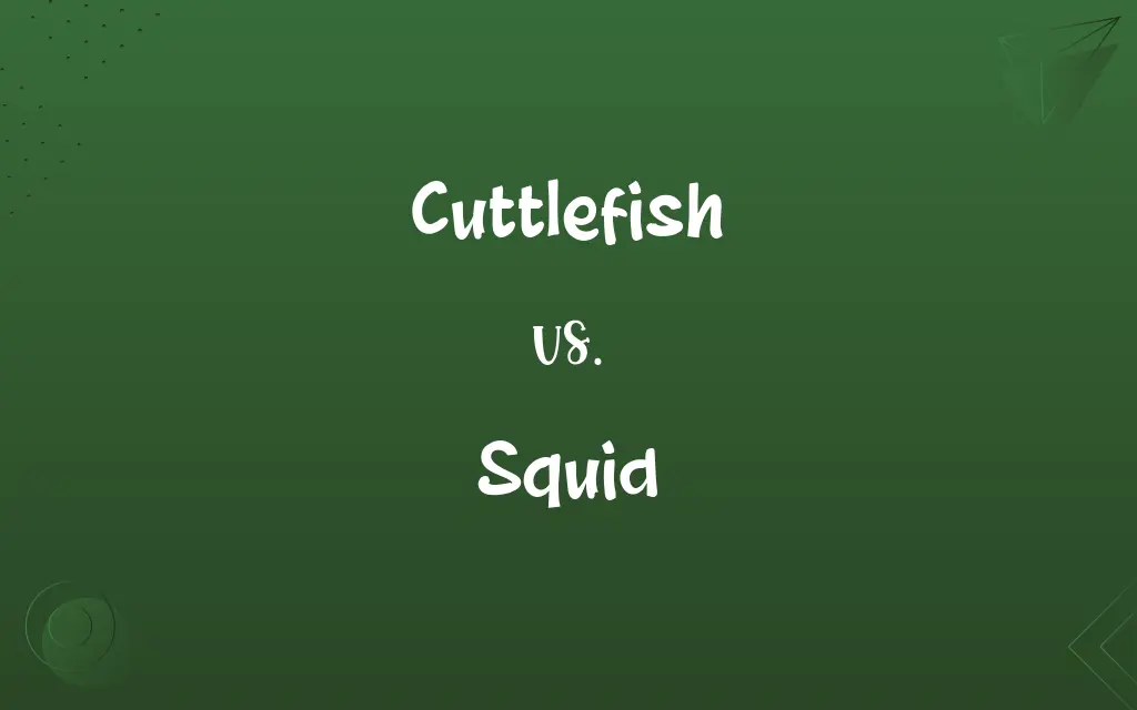 Cuttlefish vs. Squid