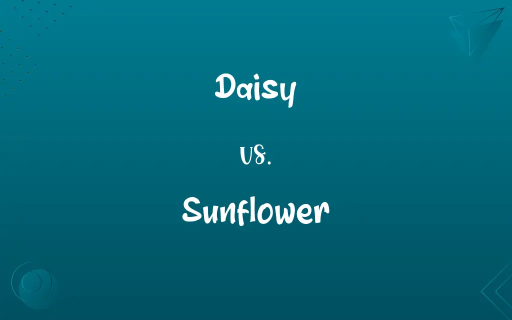 Daisy vs. Sunflower
