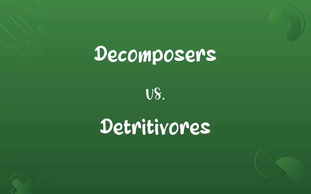 Decomposers vs. Detritivores