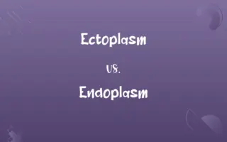 Catholicism vs. Episcopalianism