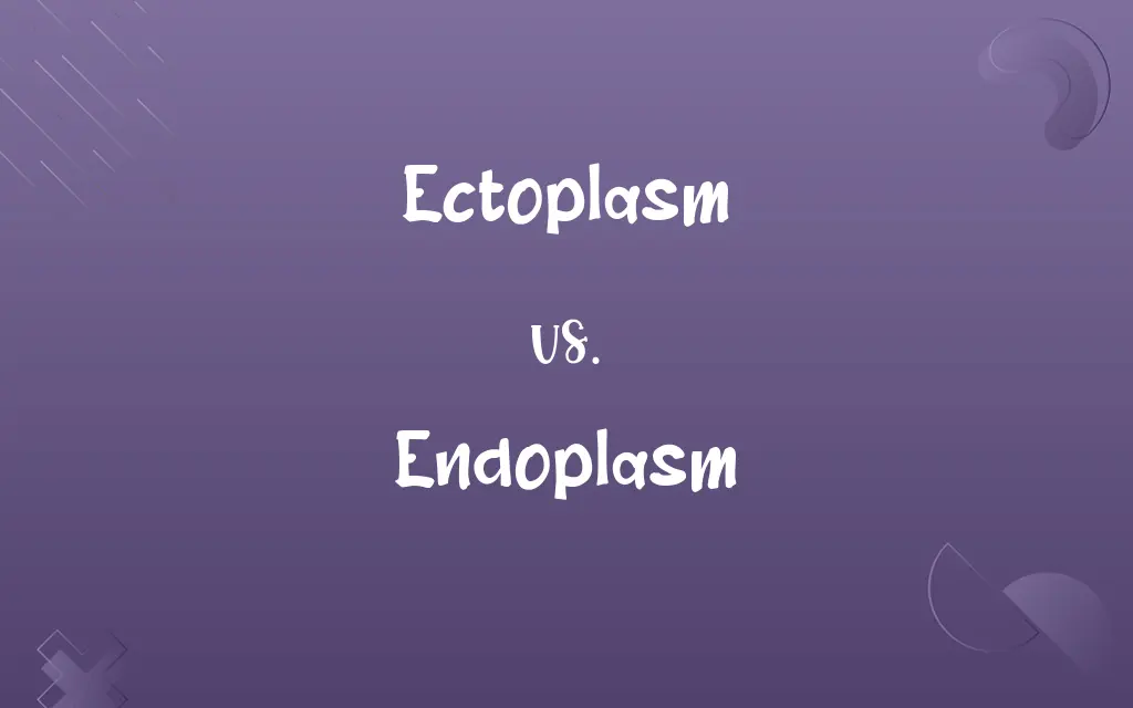 Ectoplasm vs. Endoplasm