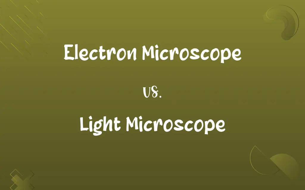 Electron Microscope vs. Light Microscope