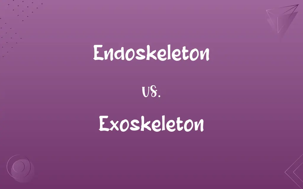 Endoskeleton vs. Exoskeleton