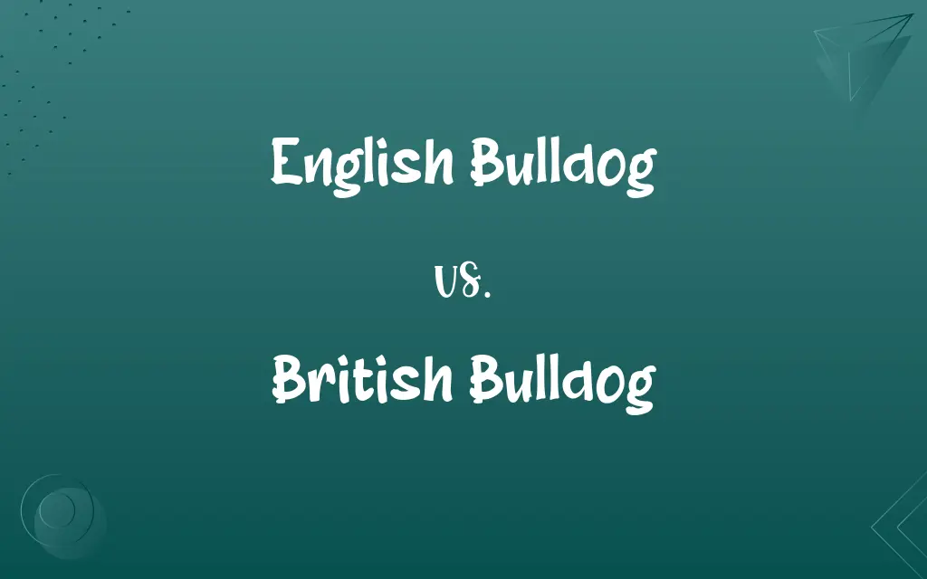 English Bulldog vs. British Bulldog