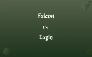 Falcon vs. Eagle