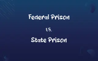 Federal Prison vs. State Prison