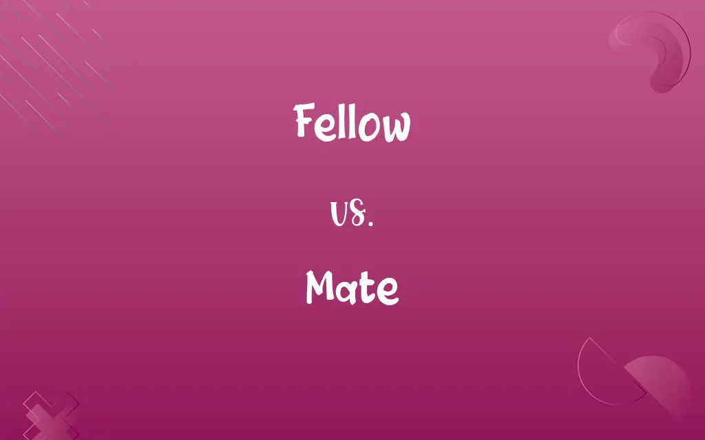 Fellow vs. Mate