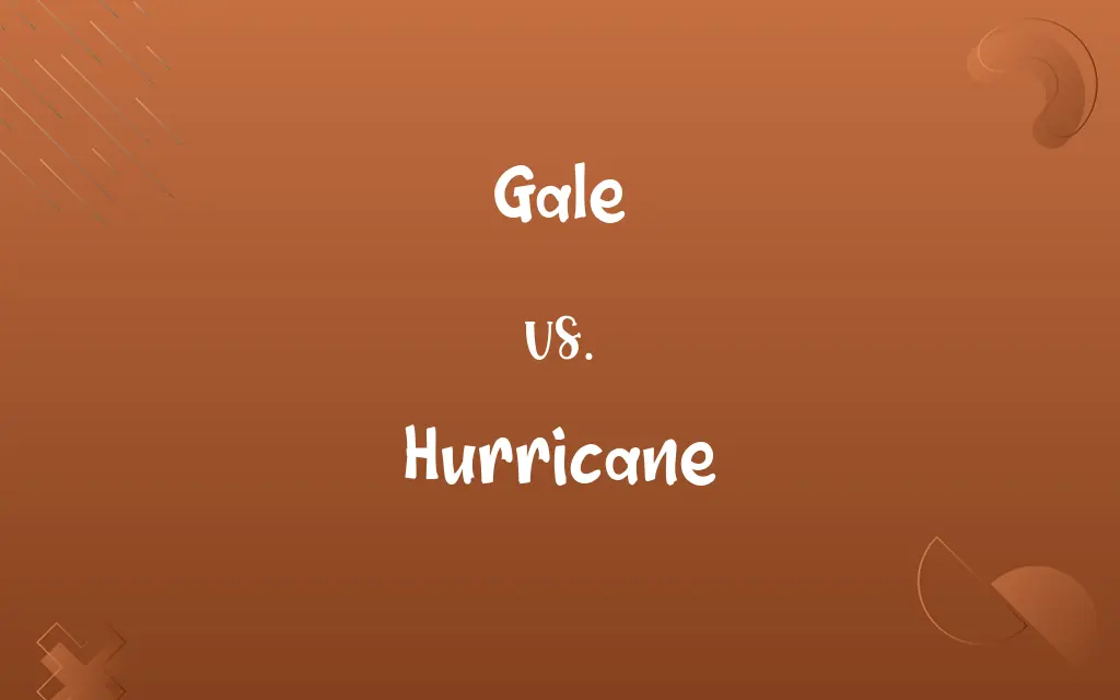 Gale vs. Hurricane