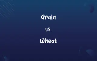 Grain vs. Wheat
