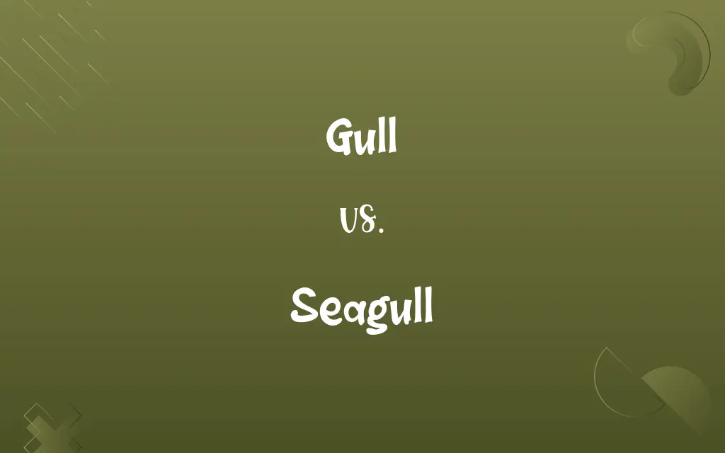 Gull vs. Seagull