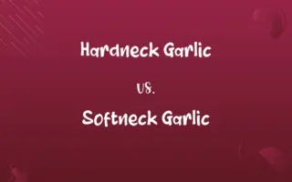 Hardneck Garlic vs. Softneck Garlic