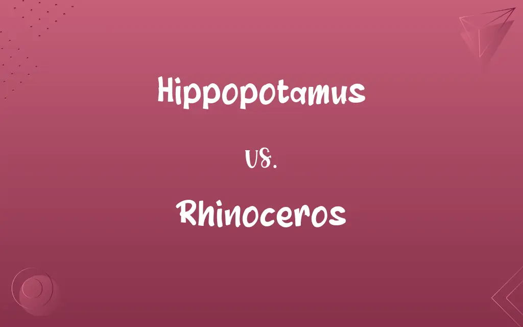 Hippopotamus vs. Rhinoceros