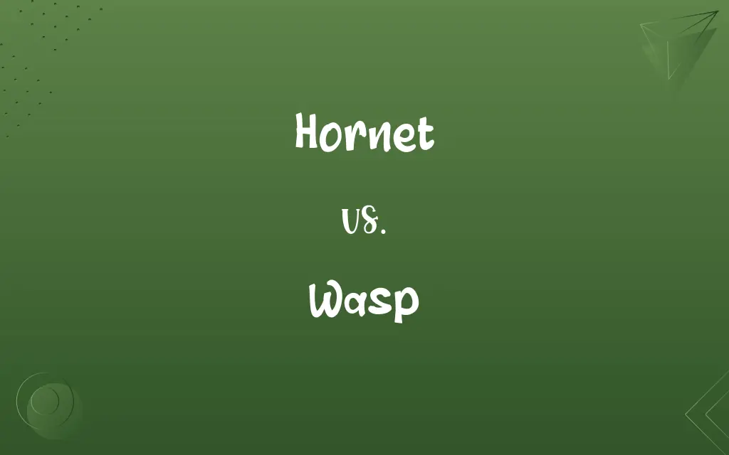 Hornet vs. Wasp