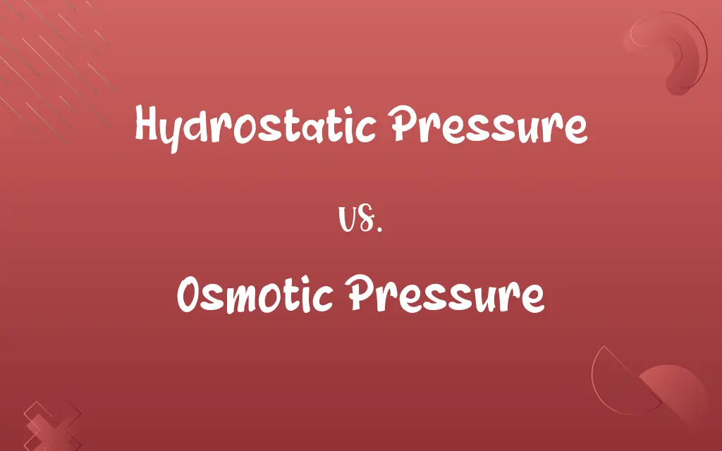 Hydrostatic Pressure vs. Osmotic Pressure