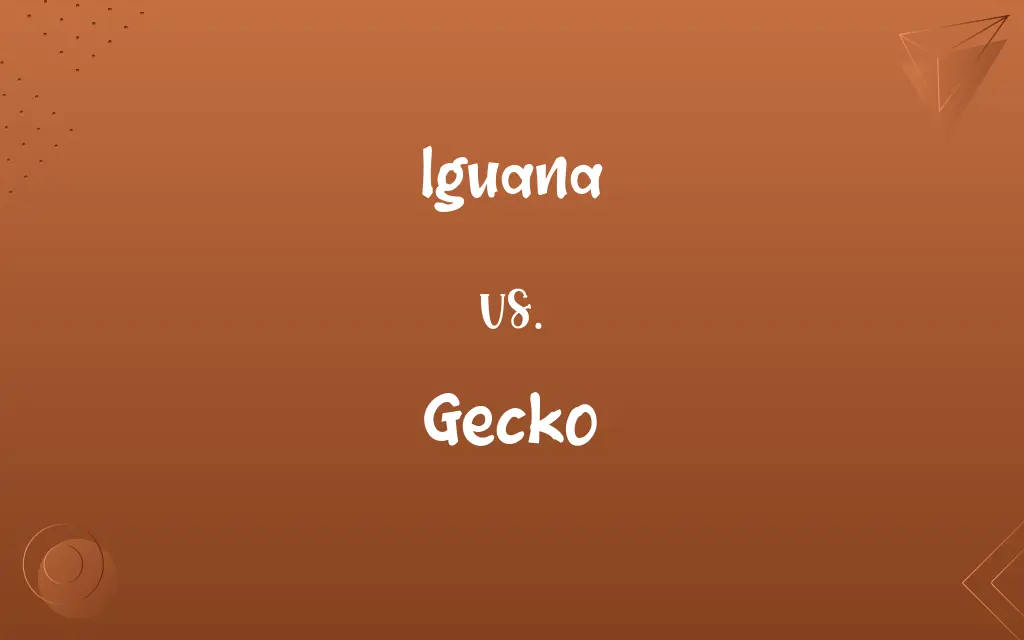 Iguana vs. Gecko