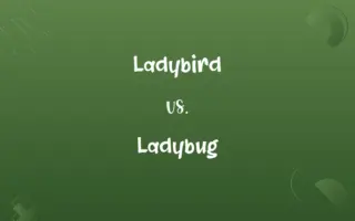 Ladybird vs. Ladybug