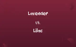 Lavender vs. Lilac