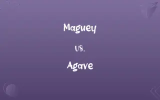 Maguey vs. Agave