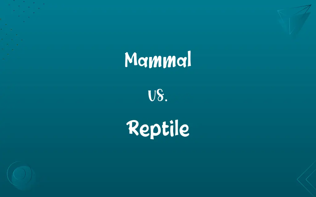 Mammal vs. Reptile