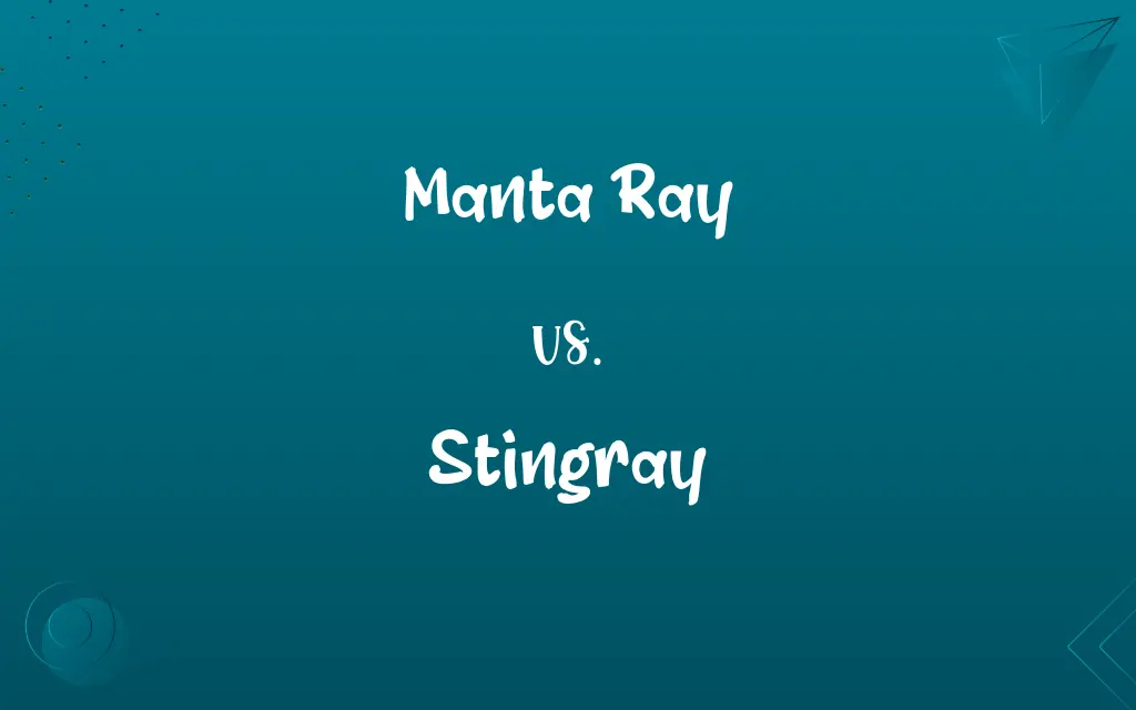 Manta Ray vs. Stingray
