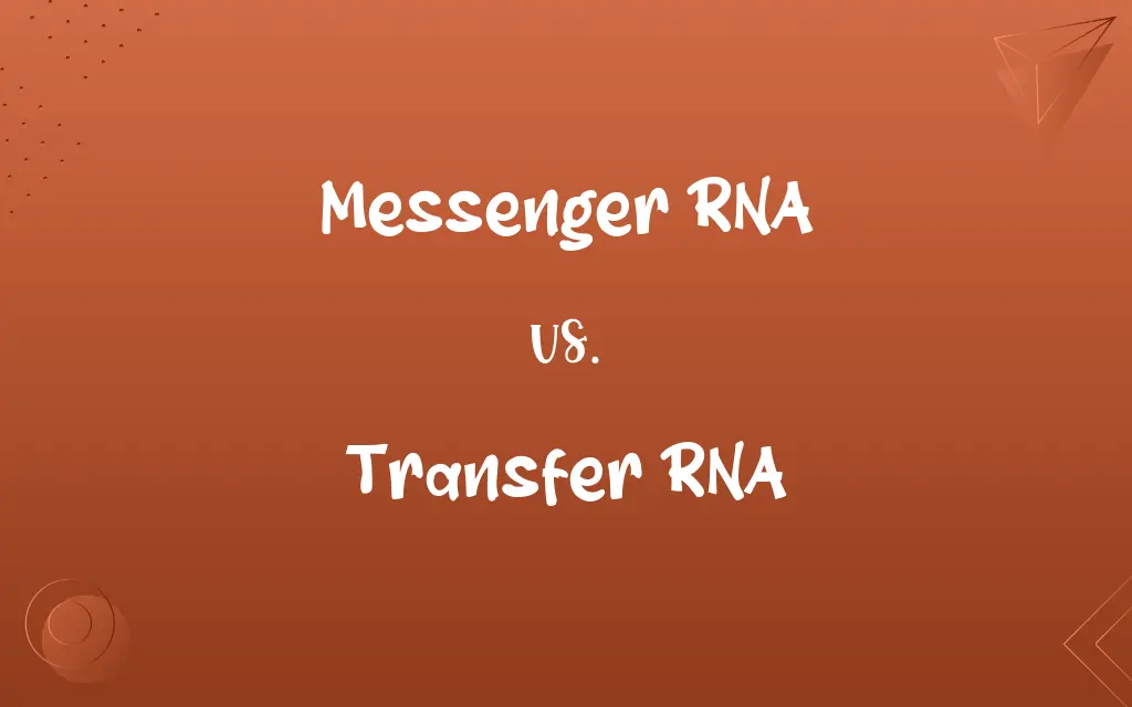 Messenger RNA vs. Transfer RNA
