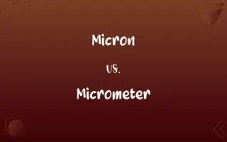 Micron vs. Micrometer