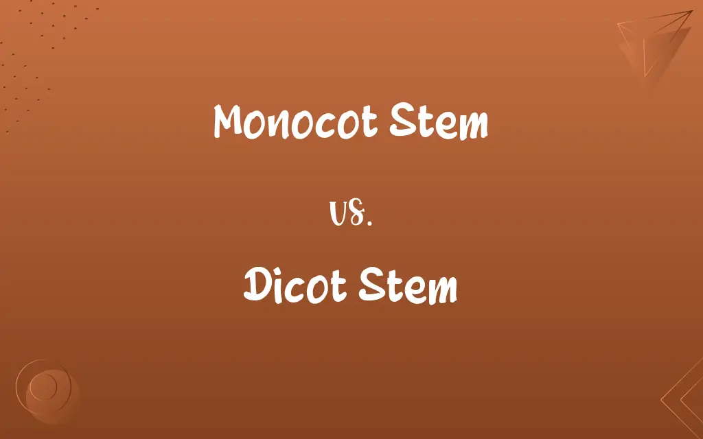 Monocot Stem vs. Dicot Stem
