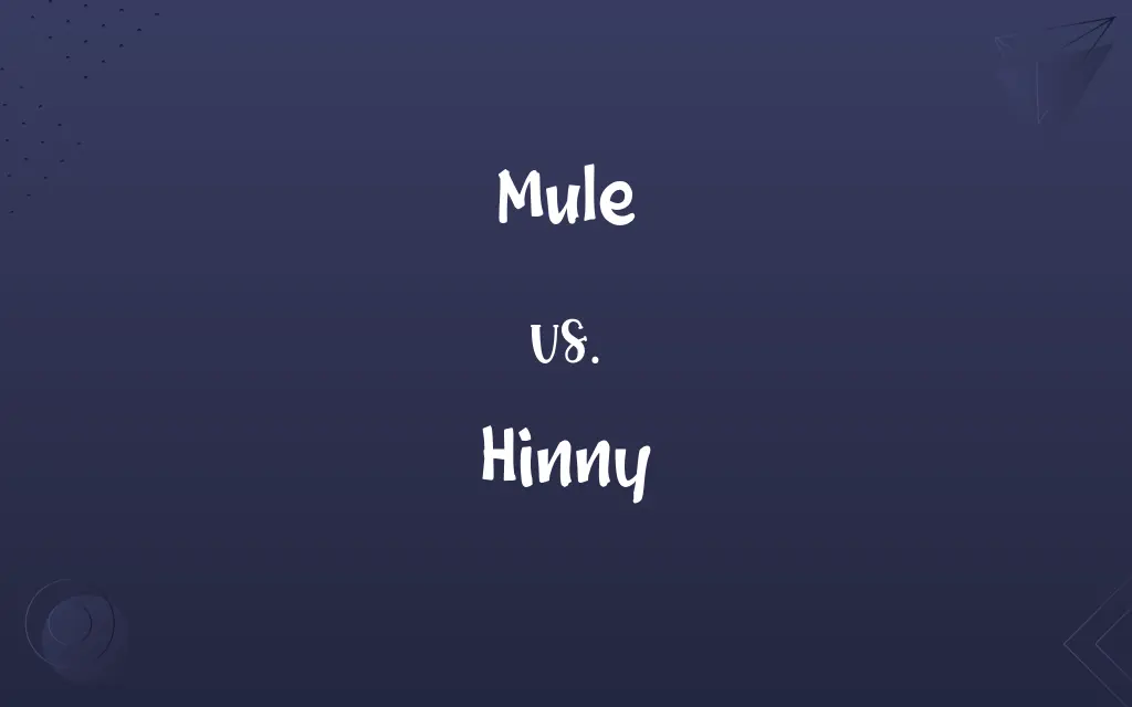 Mule vs. Hinny