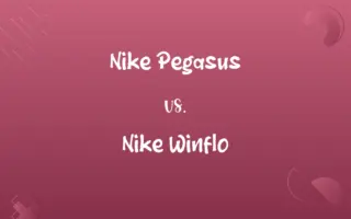 Nike Pegasus vs. Nike Winflo