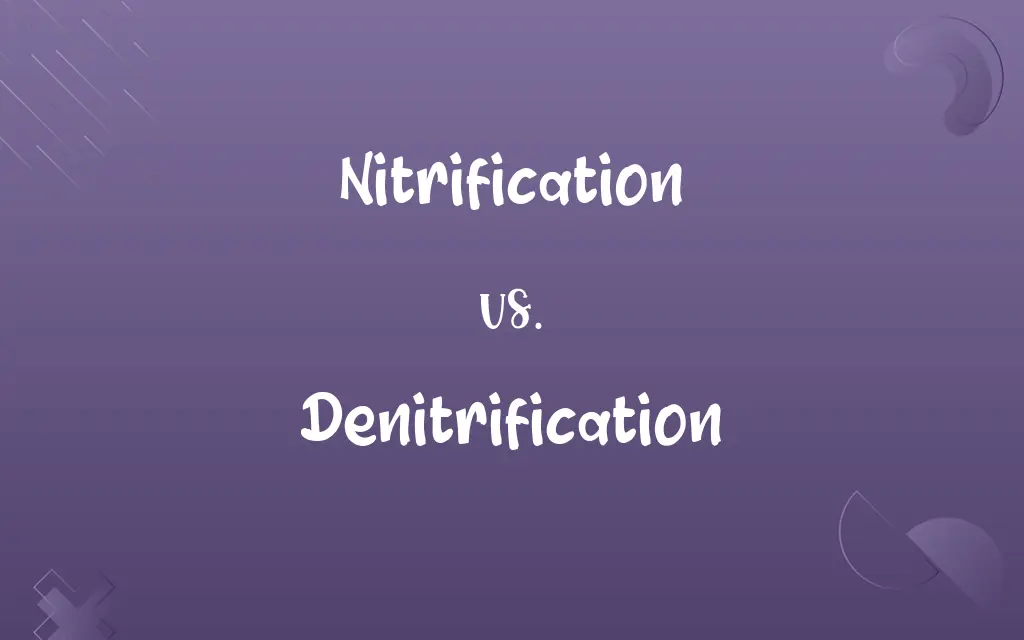Nitrification vs. Denitrification