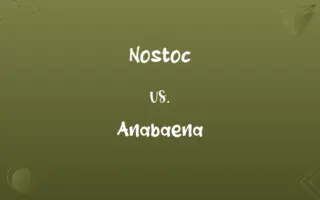 Nostoc vs. Anabaena