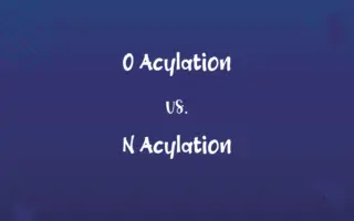 O Acylation vs. N Acylation