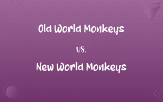 Old World Monkeys vs. New World Monkeys