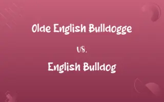 Olde English Bulldogge vs. English Bulldog